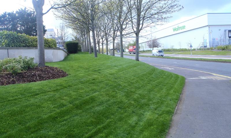 grass lawn installation outside waitrose depot
