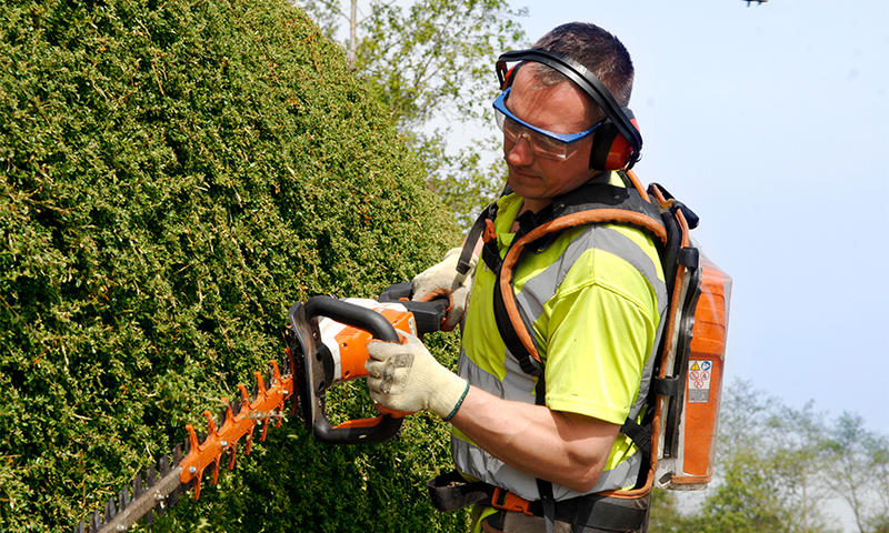 landscape contractor using Stihl hedge trimmers to prune shrubbery
