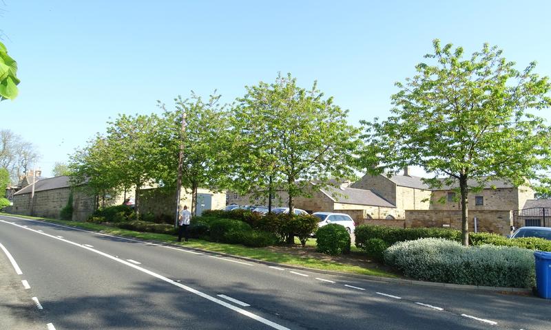 residential housing association tree care