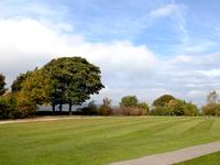 lawn stripes showing on freshly cut field during summer