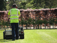 contract mowing grass during the summer