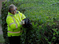 contractor using Makita strimmer to prune hedges