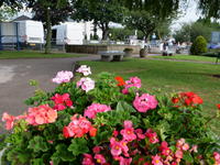 flower bed in full blossom at Barnsley Hospital