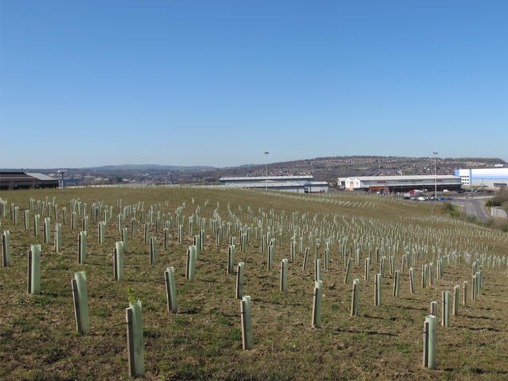 Our work on the full landscape of Tinsley Park Landfill included seeding, planting and aftercare to ensure that the capped off landscape provides a biodiverse landscape.