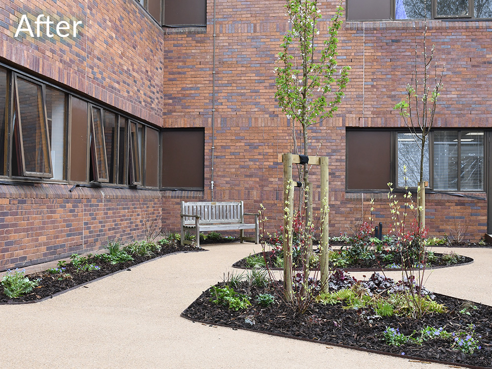 nhs-courtyard-case-study-after-3