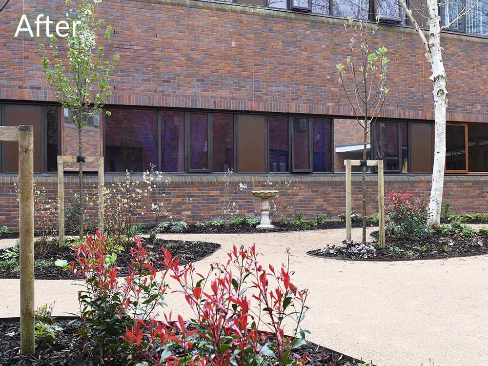 nhs-courtyard-case-study-after-7