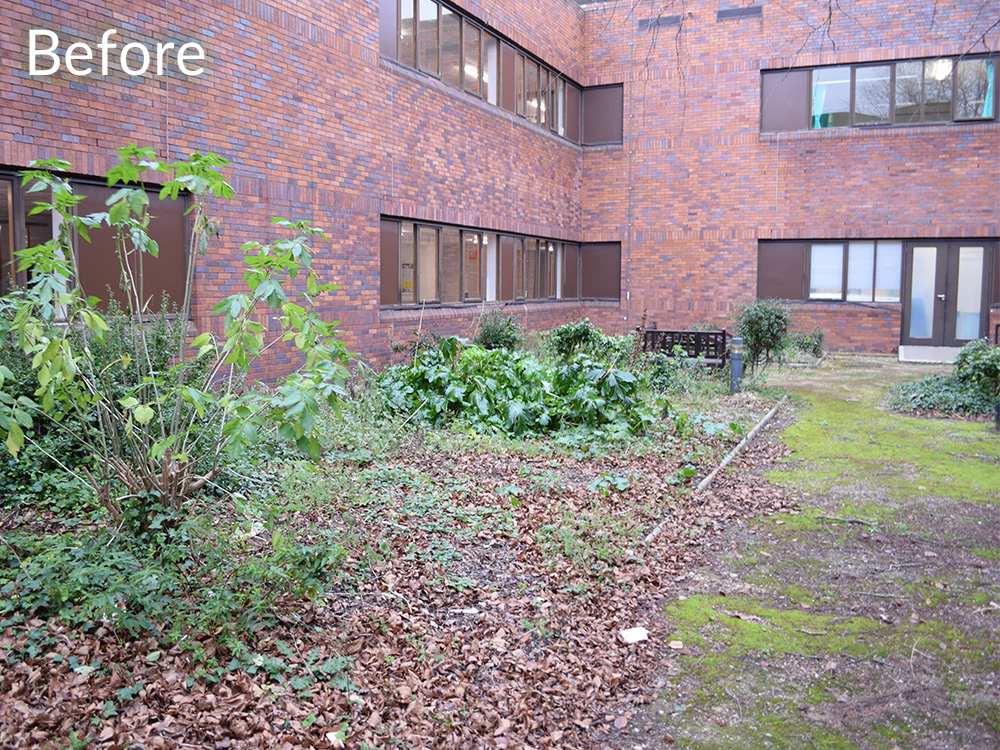 nhs-courtyard-case-study-before-1