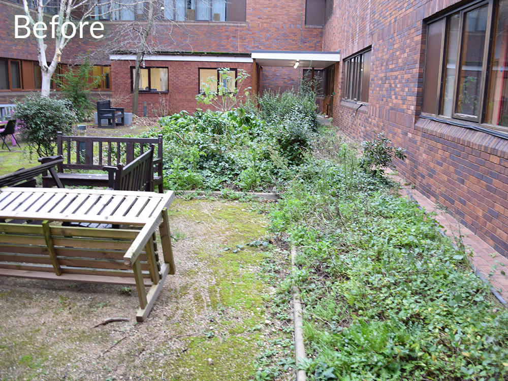 nhs-courtyard-case-study-before-4