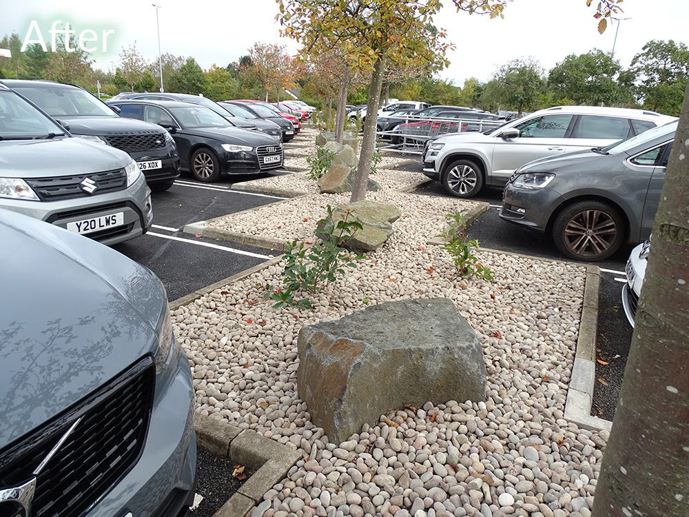 costco-car-park-case-study-after-3