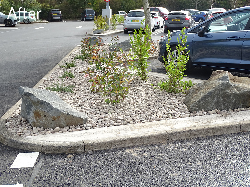 costco-car-park-case-study-after-4
