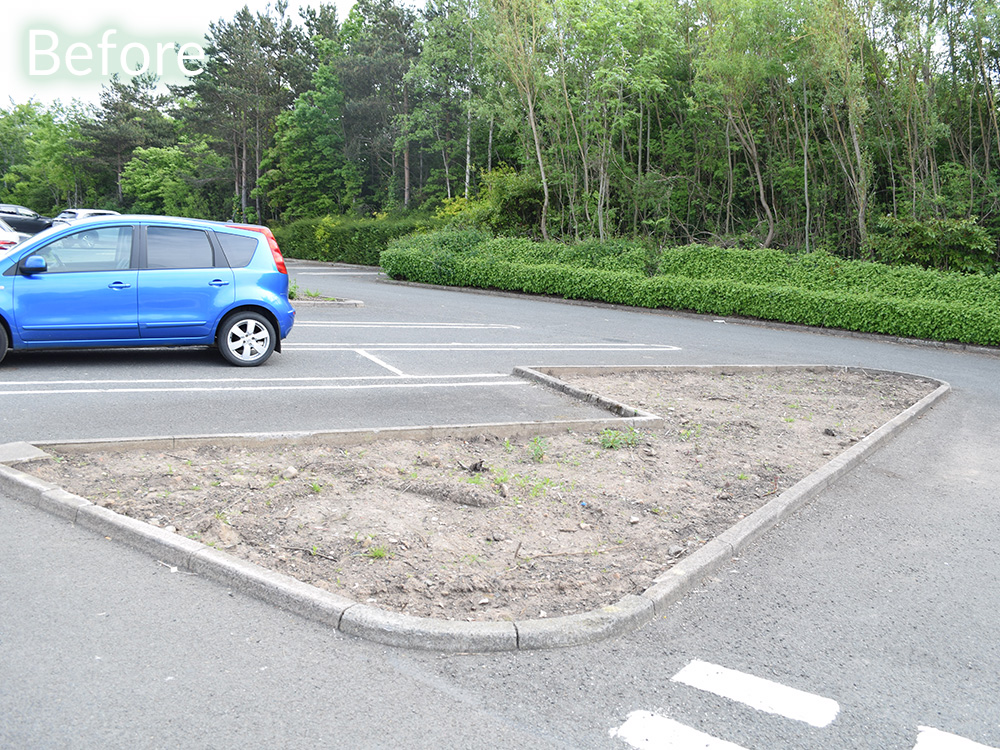 costco-car-park-case-study-before-1