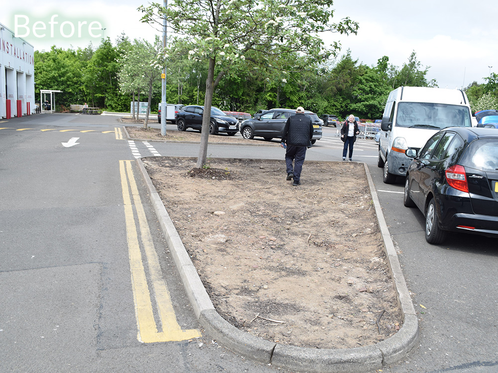 costco-car-park-case-study-before-3
