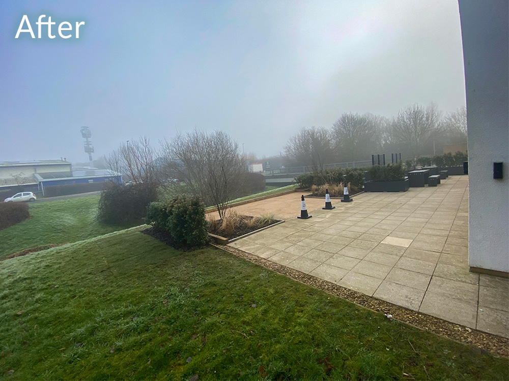 commercial-garden-landscape-case-study-after-1
