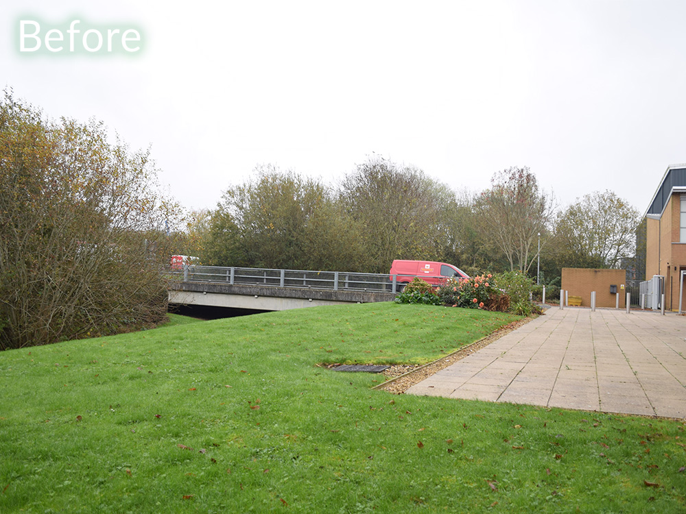 commercial-garden-landscape-case-study-before-1