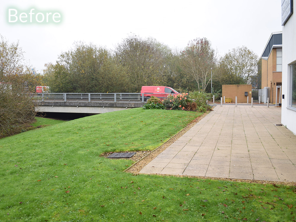 commercial-garden-landscape-case-study-before-2