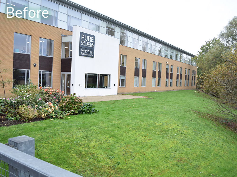 commercial-garden-landscape-case-study-before-4
