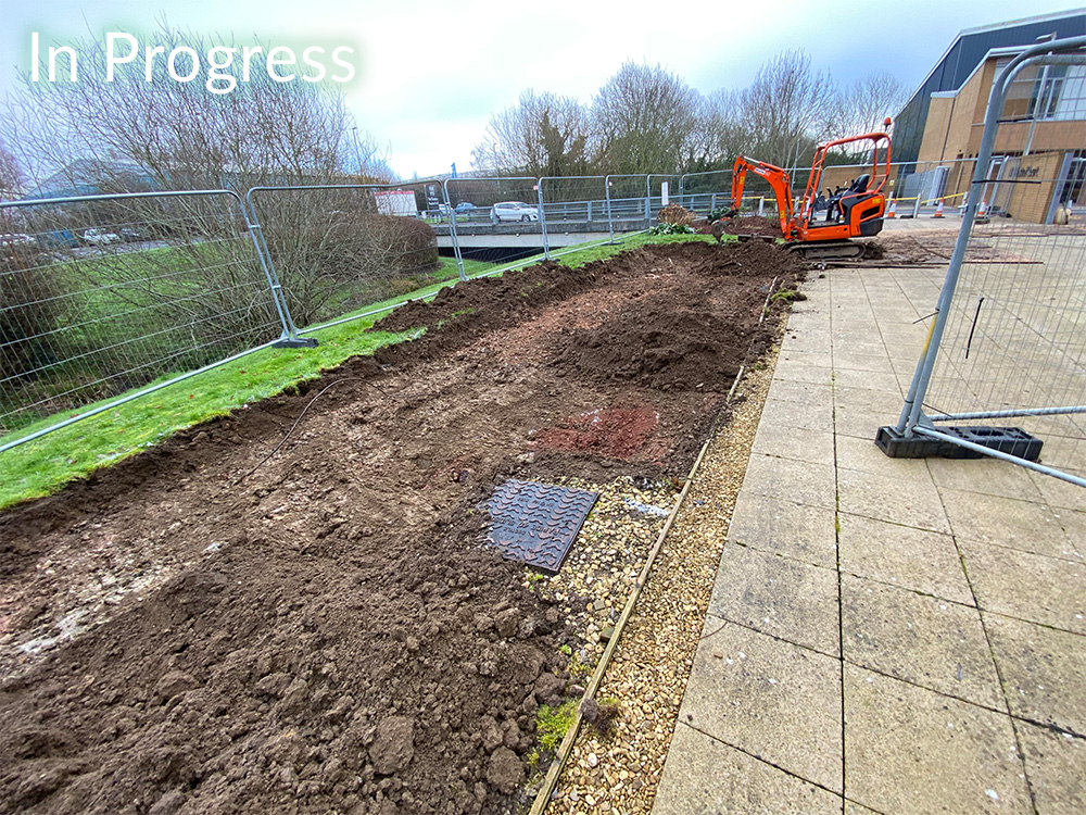 commercial-garden-landscape-case-study-in-progress-1