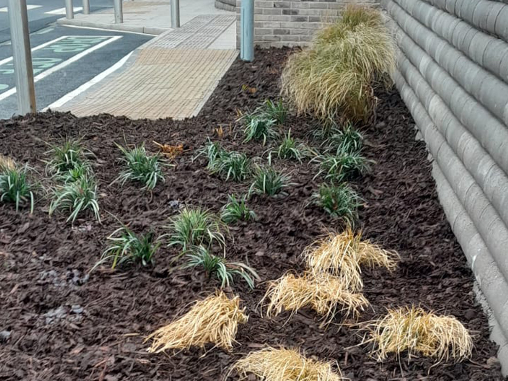 february-grounds-maintenance-case-study-14