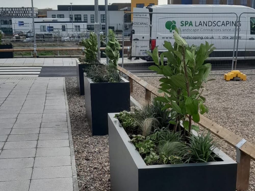 We designed, supplied and installed a planting scheme for a new NHS Diagnostics Centre.