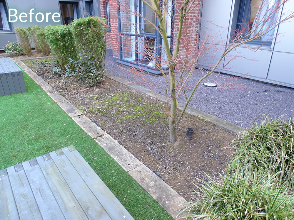 asa-briggs-house-student-accom-leeds-case-study-before-4