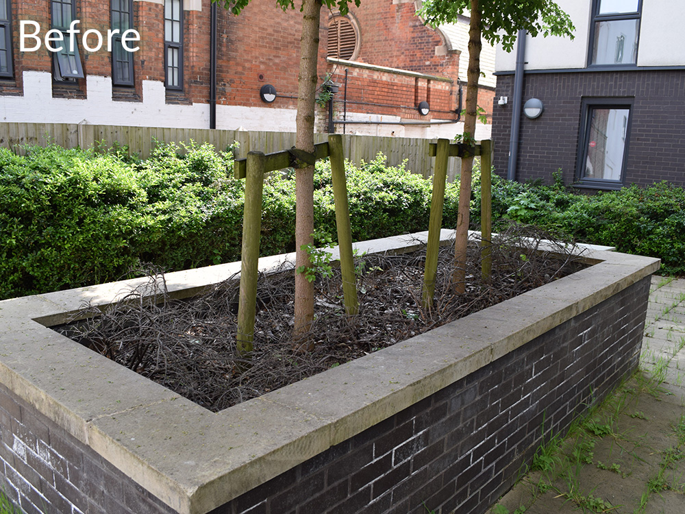 student-accom-coventry-case-study-before-4