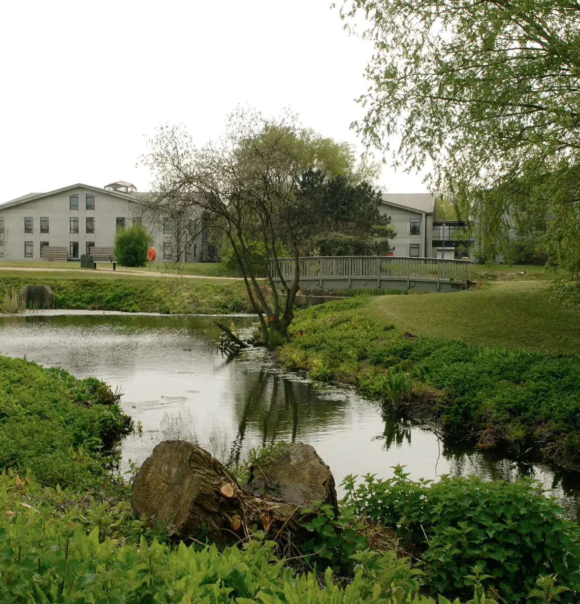 business-parks-grounds-maintenance-3