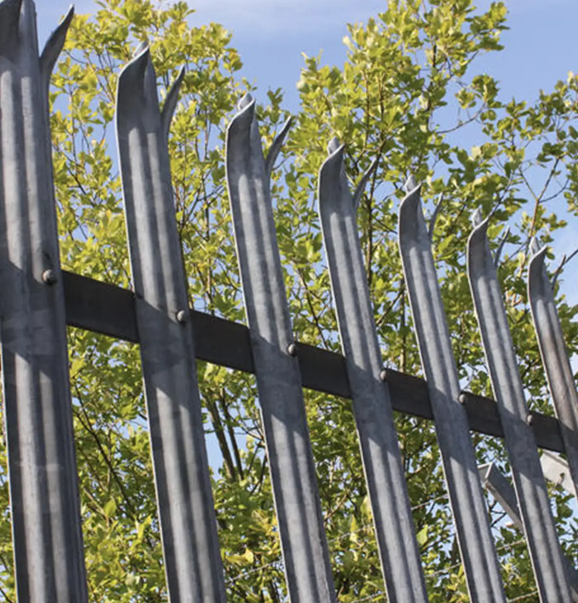 fencing-1