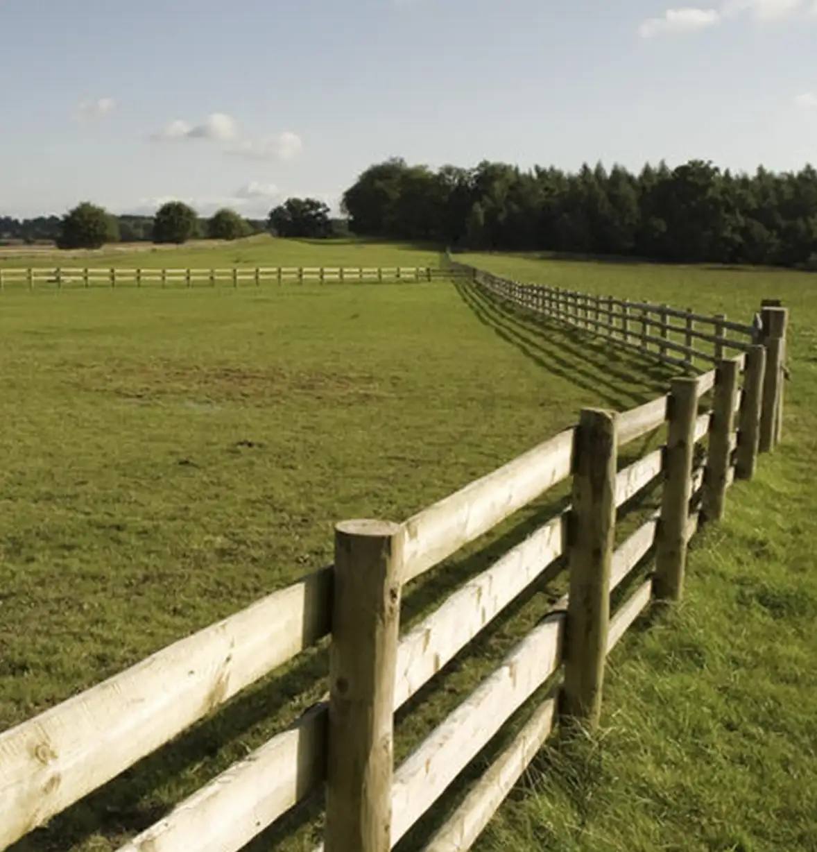 fencing-2