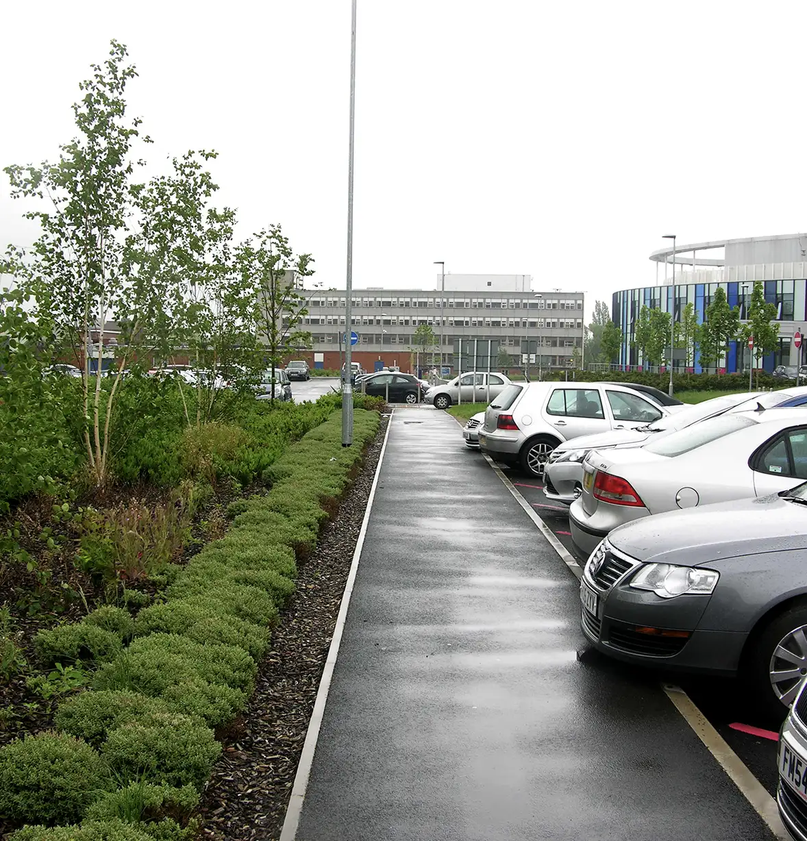 hospital-grounds-maintenance-6