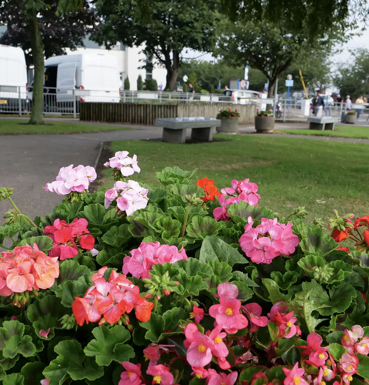 hospital-grounds-maintenance-7
