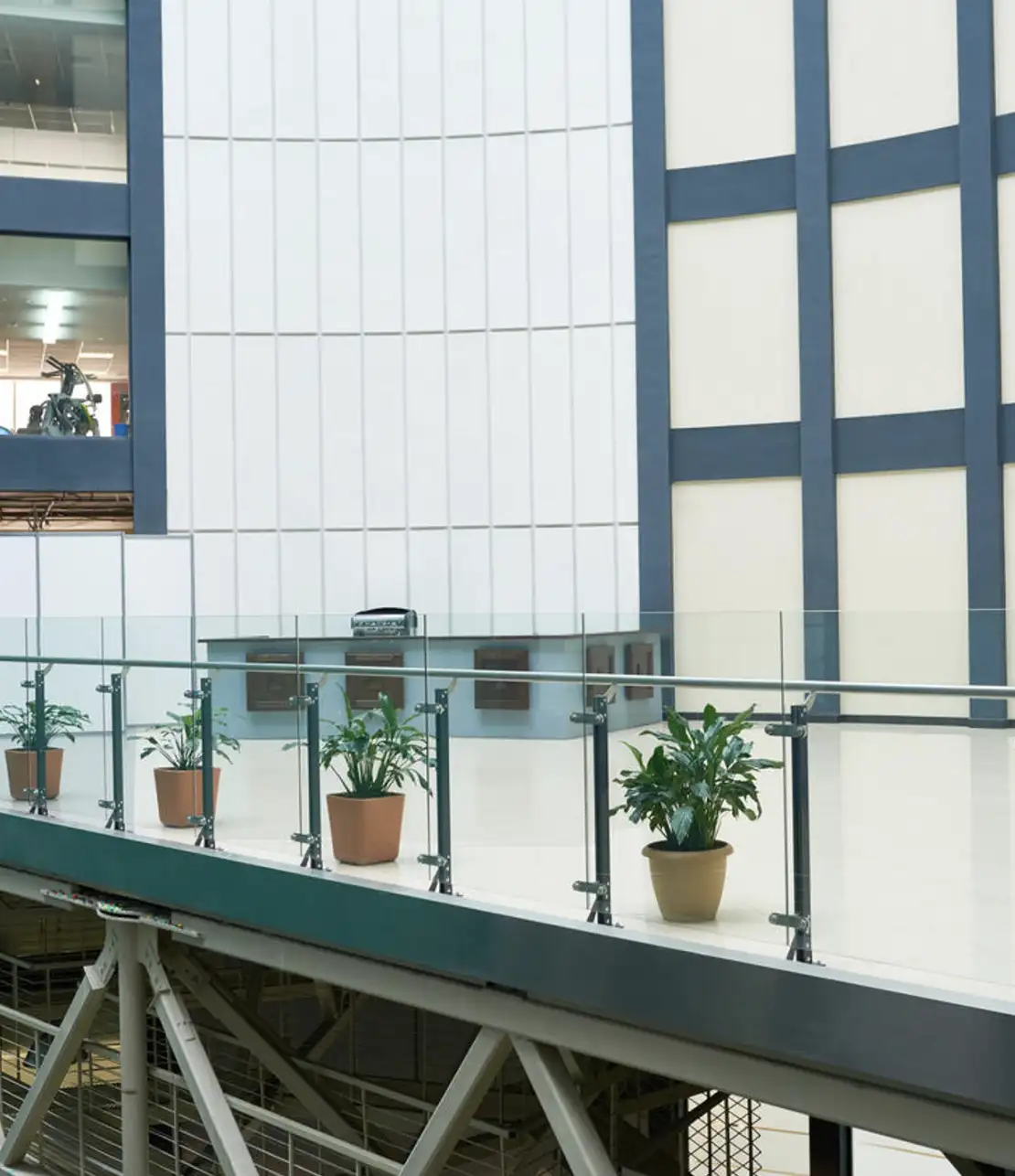 interior-plants-for-commercial-use