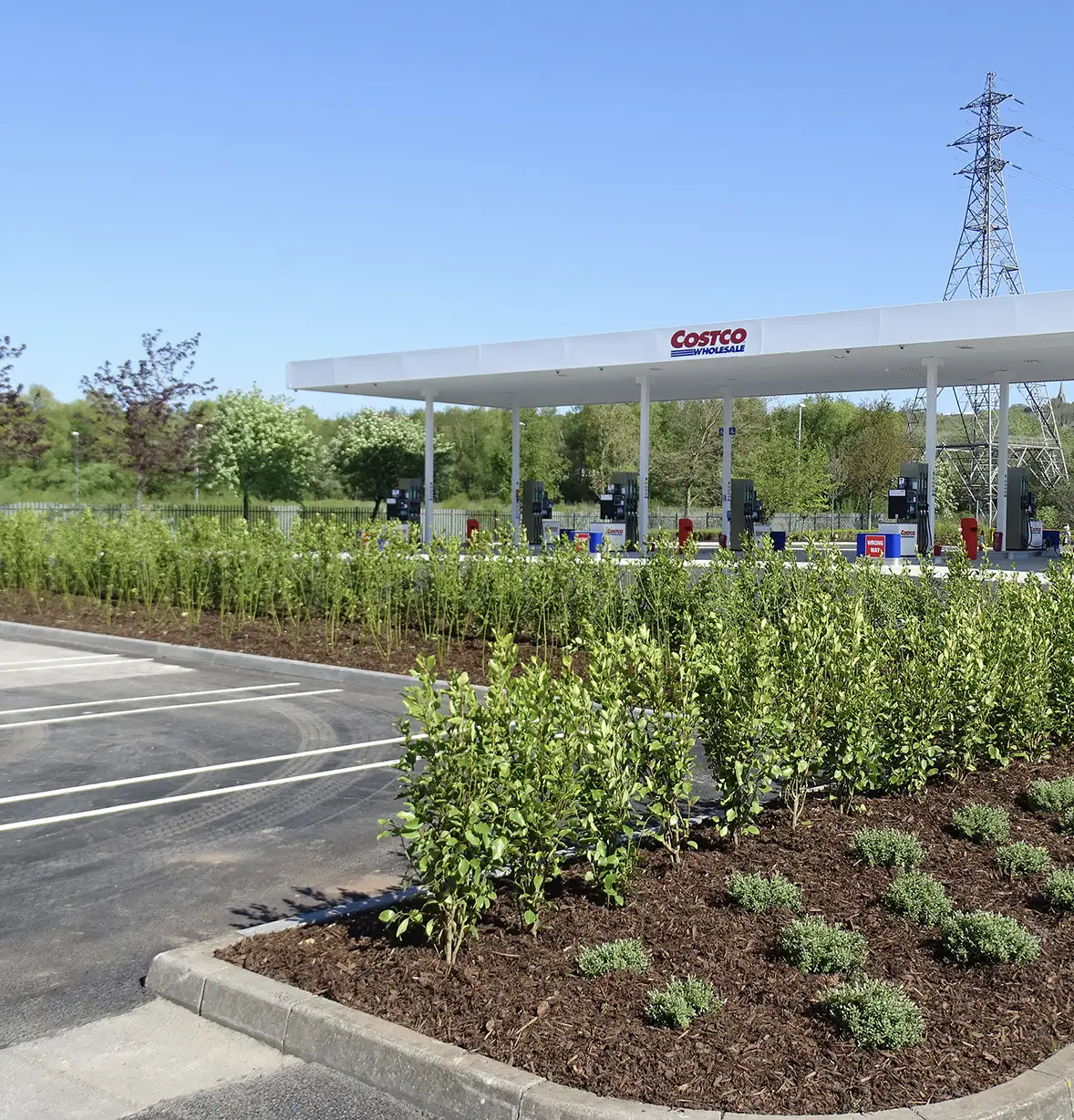 planting-services-2