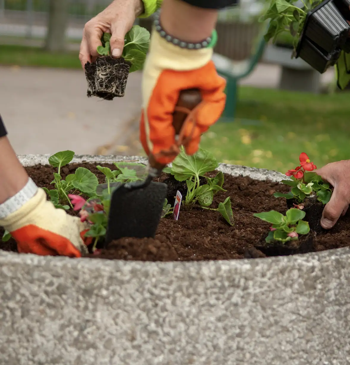 planting-services-4