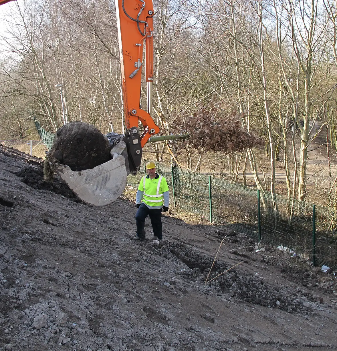 planting-services-5