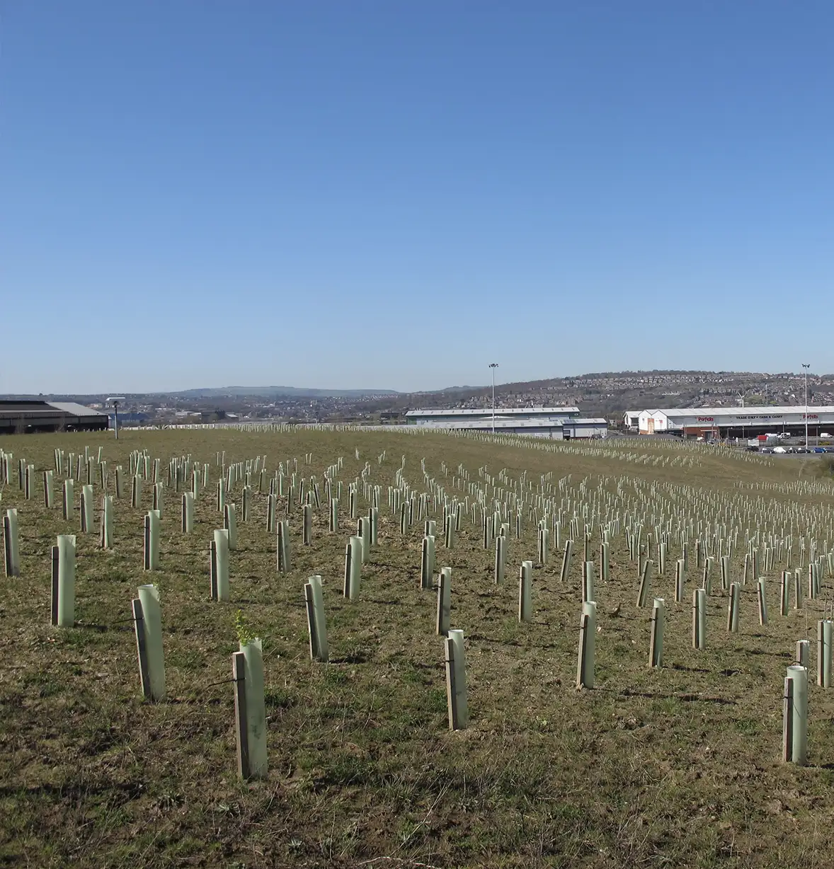 planting-services-6