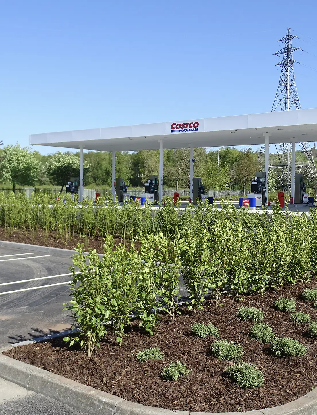 planting-services-for-commercial-properties