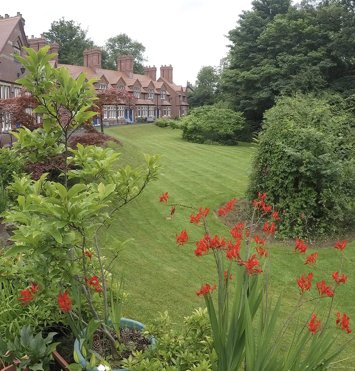 residential-estate-landscaping-maintenance-6