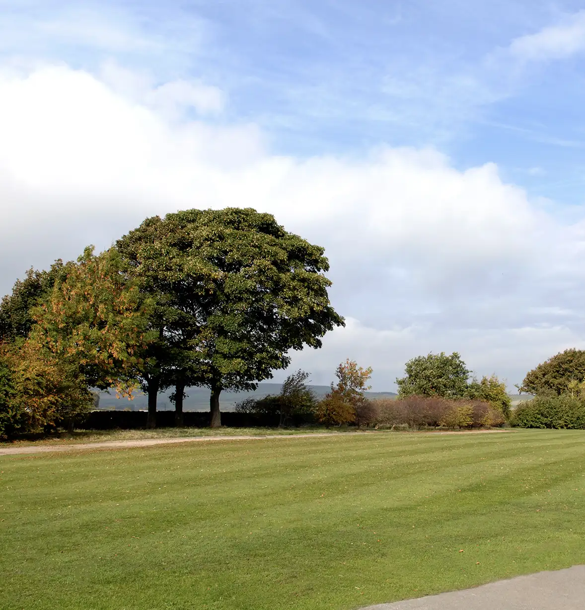 residential-estate-landscaping-maintenance-9