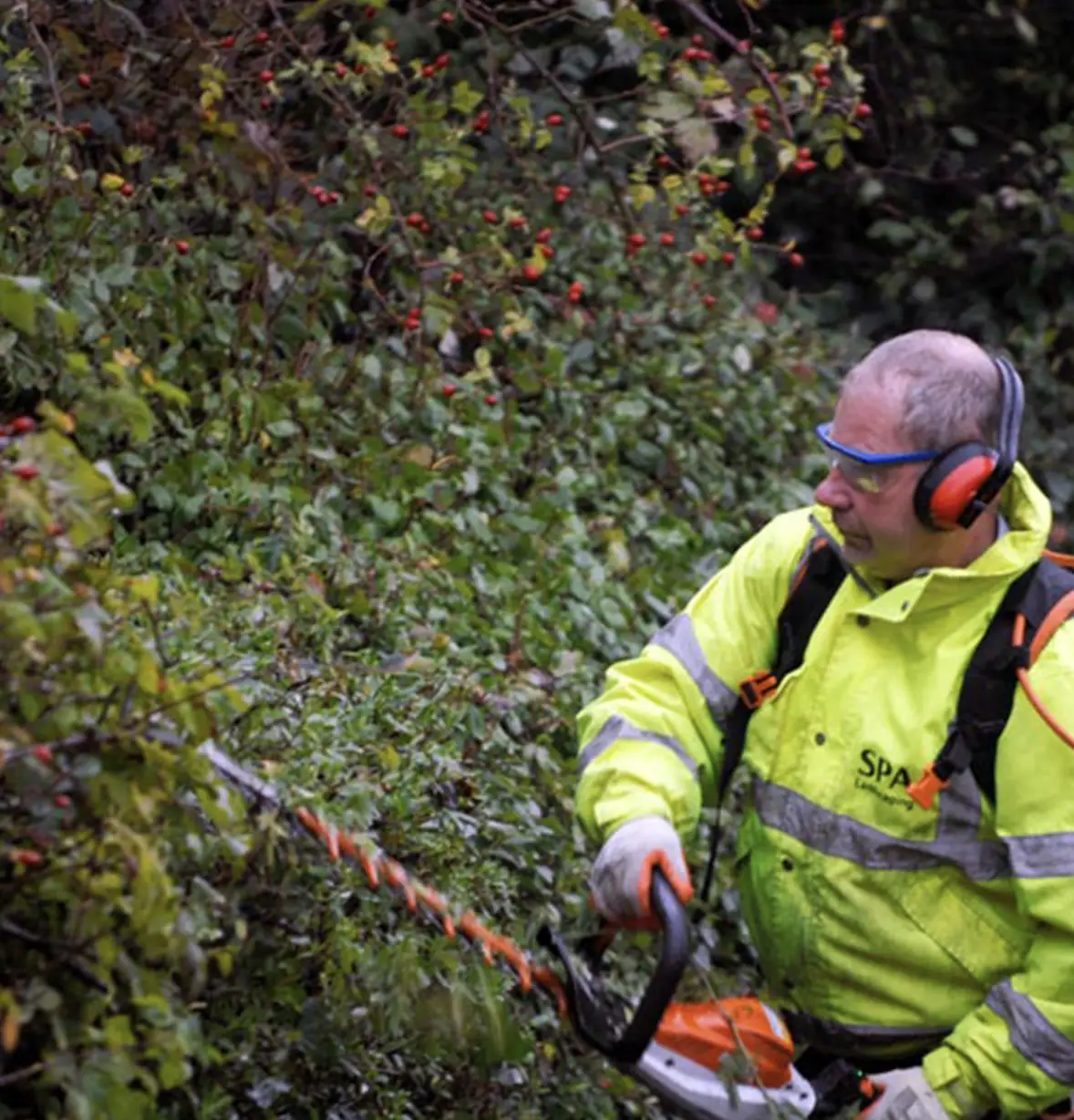 business-parks-grounds-maintenance-15