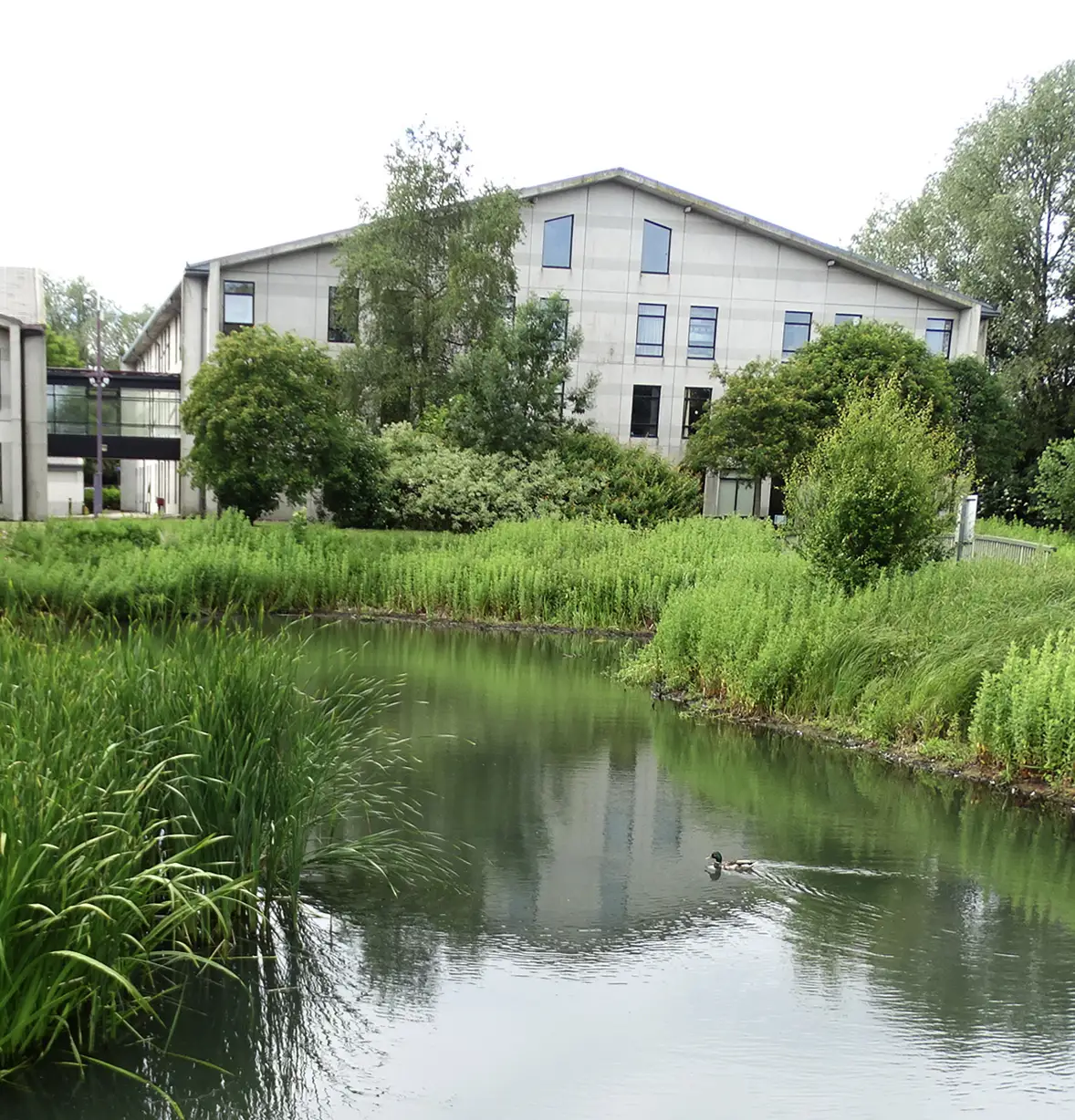 business-parks-grounds-maintenance-23