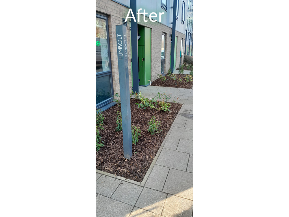 student-accom-bradford-case-study-after-4