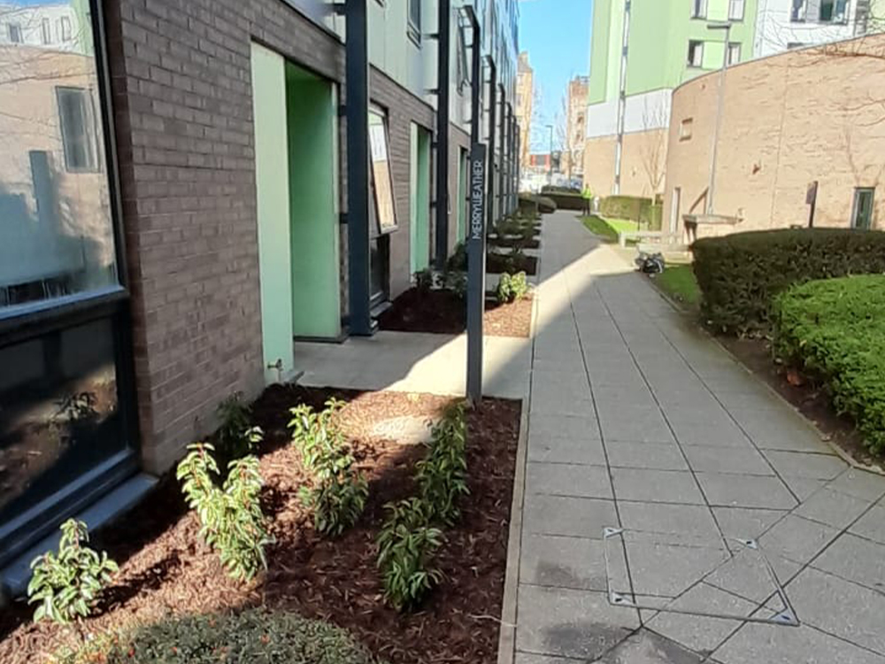 We were brought in to carry out a comprehensive landscape renovation programme at a large student accommodation complex in Bradford, managed by Homes for Students.